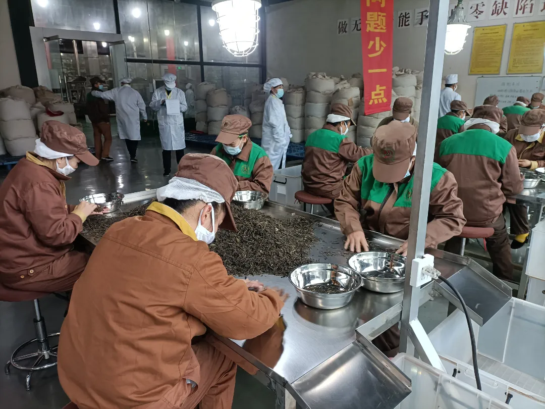精益求精&middot;鑄造品質(zhì)｜六大茶山第十四屆技術(shù)大比武圓滿完成
